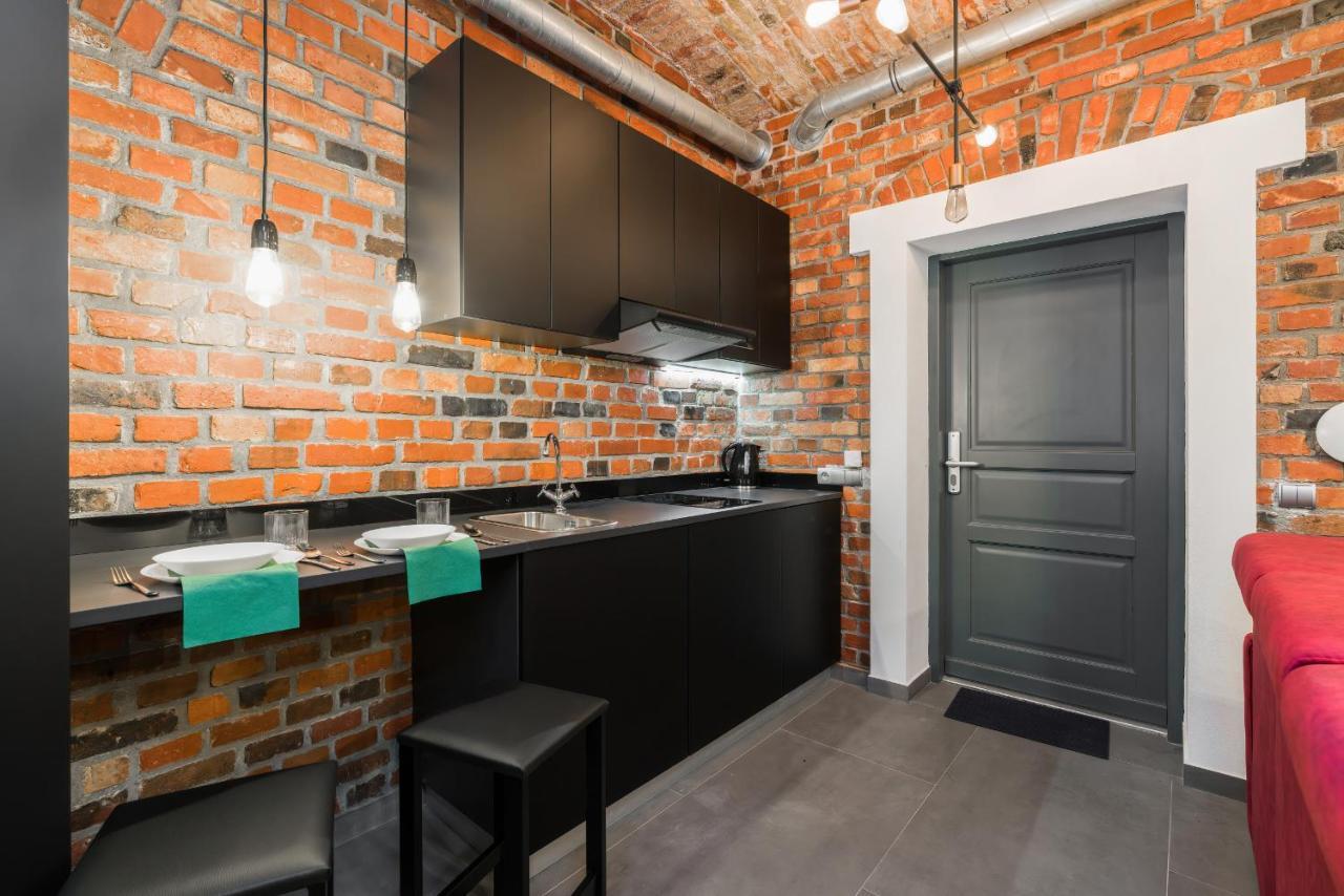 Apartment Level -1 Loft Center Kopernika
